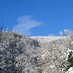 Schog Todtnau