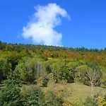 Schog * Todtnau