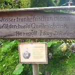 Schog Todtnau