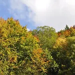 Schog * Todtnau