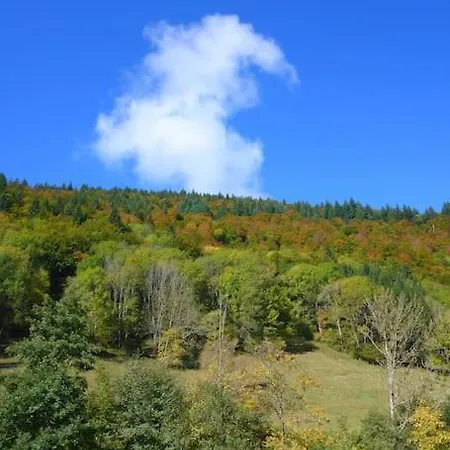 Schog * تودتناو