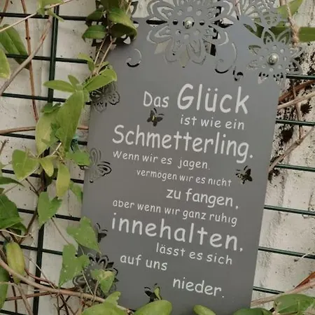 شقة Schog تودتناو