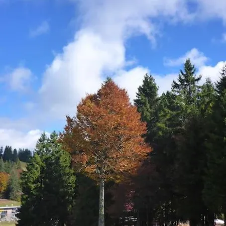 Schog * تودتناو