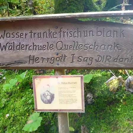 Schog Todtnau
